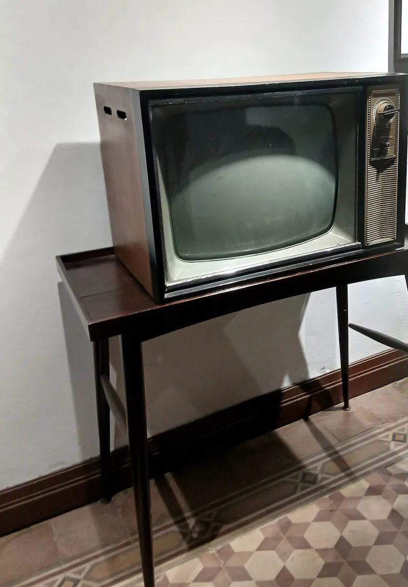 From Canceled to Cult: 10 Forgotten TV Shows That 2024 Brought Back From the Dead